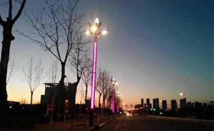 “華燈”點(diǎn)亮魅力山東煙臺